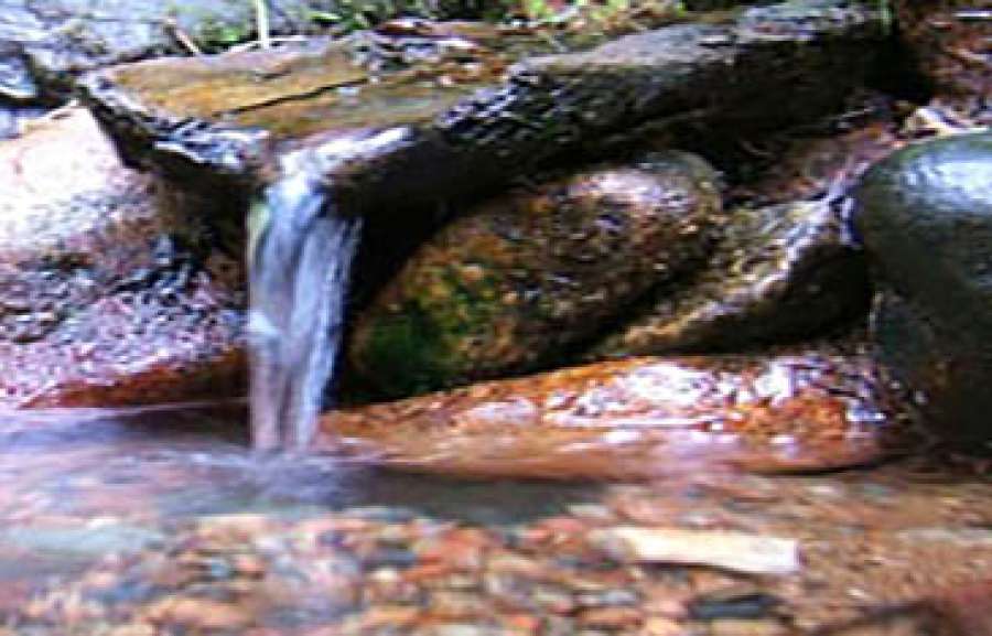 Успагьи!
